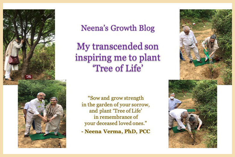 My transcended son inspiring me to plant ‘Tree of Life’